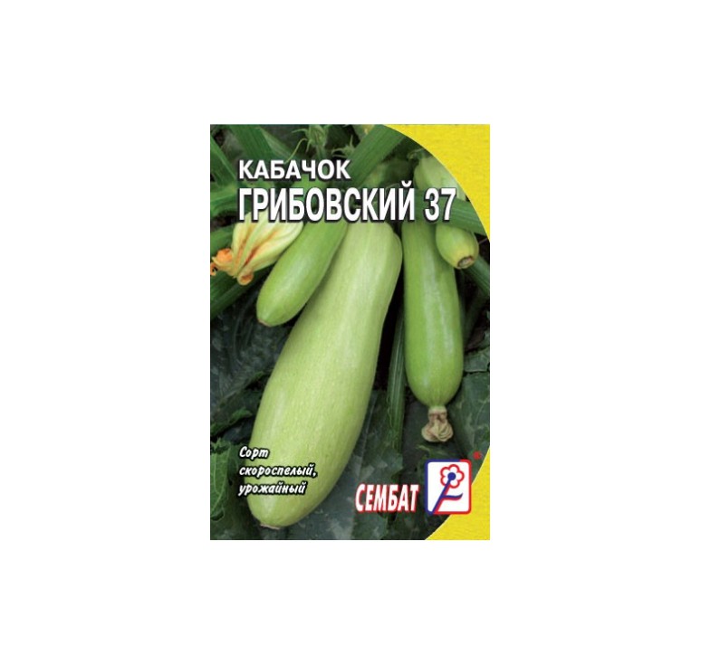 Кабачок Грибовские 37. Кабачок Грибовский описание. Кабачок Грибовский 37 отзывы. Кабачок Грибовский 37 характеристика и описание.