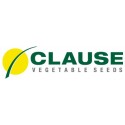 Clause Vegetable Seeds 