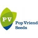 Pop Vriend Seeds