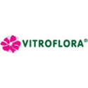 Vitroflora
